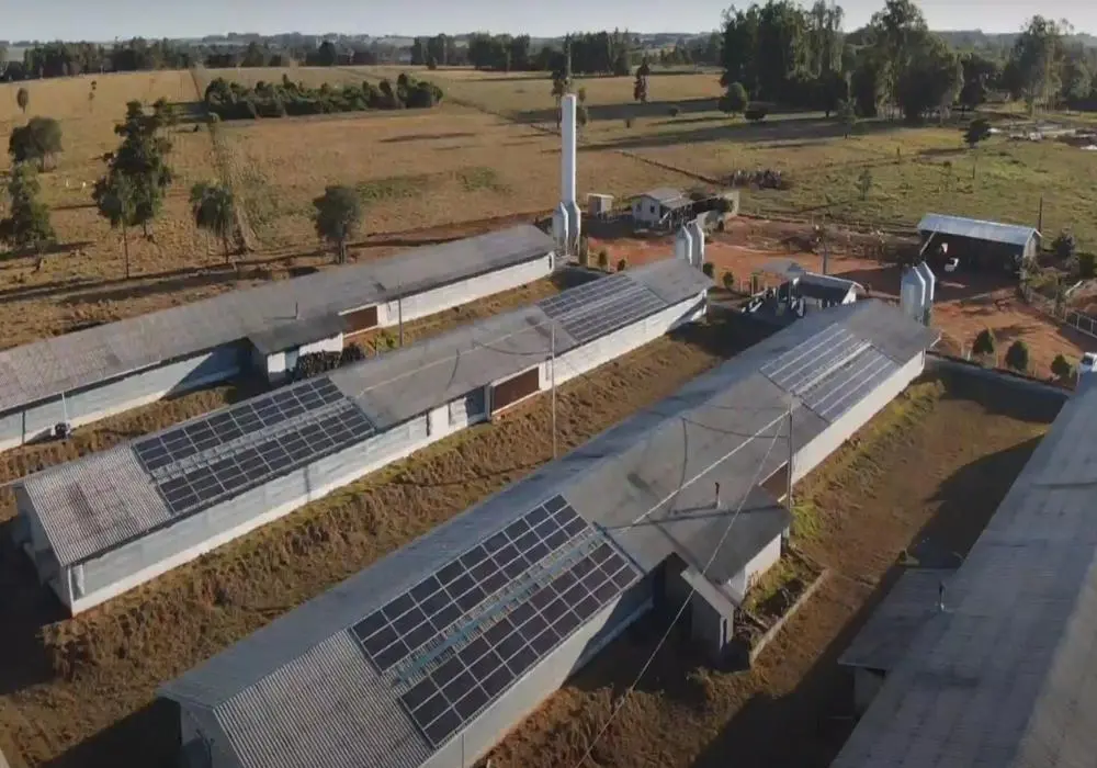 Vista aérea de uma instalação de painéis solares em telhados de edifícios rurais, com áreas verdes ao redor e uma pequena instalação agrícola ao fundo